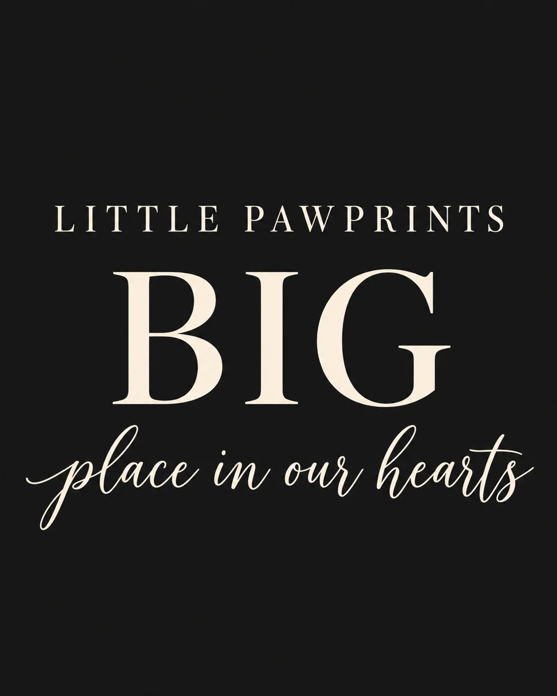 Pawprints on Our Days artwork detail